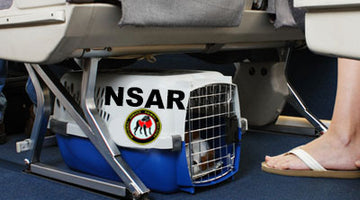 Support Animals and Air Travel - What's Changing in 2021