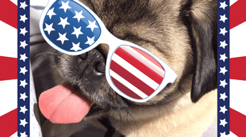 Tips for a Happy and Safe 4th of July from Momo & her Friends