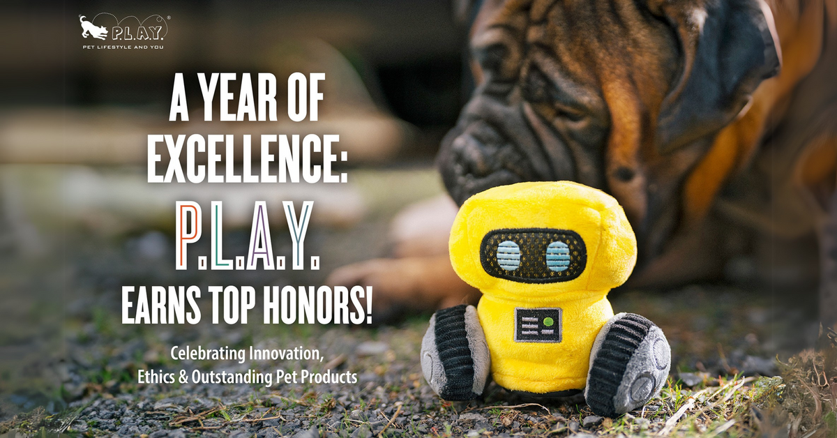 2024 BBB Torch Award for Ethics Bestowed on P.L.A.Y. 2024 BBB Torch Award for Ethics Bestowed on P.L.A.Y.