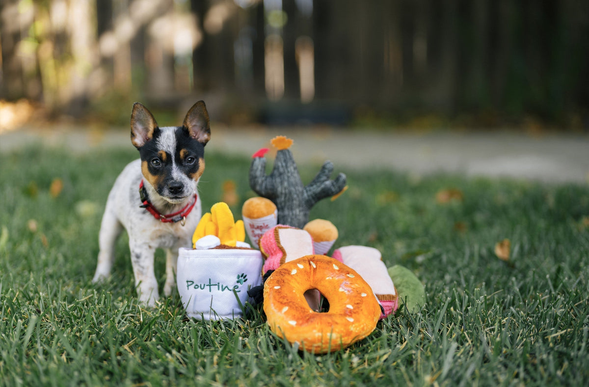 B Corp P.L.A.Y. Joins Peers for Innovative Dog Toy Collaboration
