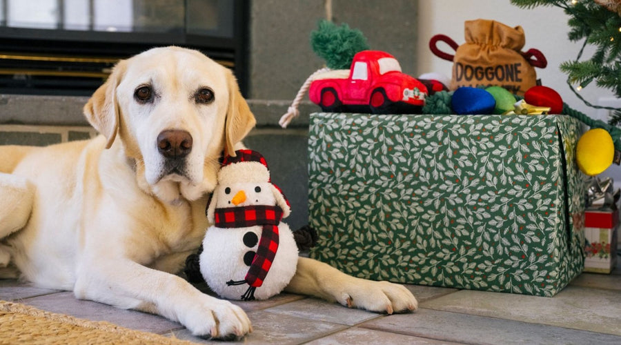 Top Holiday Pet Gifts for Dogs & Cats: Your Ultimate Pet Gift Guide for 2024