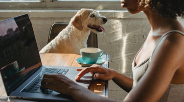 The Pros & Cons of Bringing Your Dog to Work