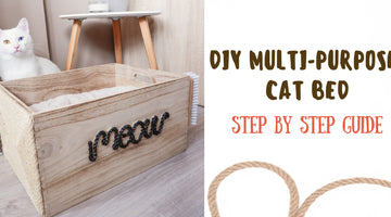 DIY Multi-Purpose Cat Bed