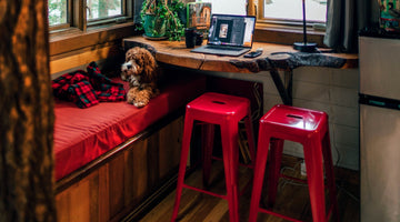Distractions For a Lonely Dog: Entertain Your Pup While You're Away With These Genius Ideas