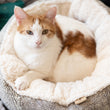 Load image into Gallery viewer, P.L.A.Y. Feline Frenzy Donut Cuddler Bed - Ash Gray Chocolate with ginger cat snuggling inside staring directly at the camera