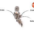 Load image into Gallery viewer, P.L.A.Y. Feline Frenzy Blissful Birdie Toy feature image