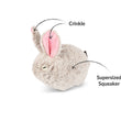 Load image into Gallery viewer, P.L.A.Y.'s Forest Friends Collection - Baxter the Bunny Toy features image