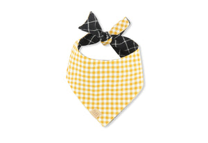 The Visionary Bandana by P.L.A.Y. - showing yellow checked print