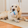 Load image into Gallery viewer, IHOP x P.L.A.Y. Barking Bean Brew - yellow lab holding toy by handle in its mouth while laying on kitchen floor looking into camera