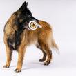 Load image into Gallery viewer, IHOP x P.L.A.Y. Barking Bean Brew - big brown fluffy dog holding it in mouth with pawprint on top of mug facing out and looking to the right