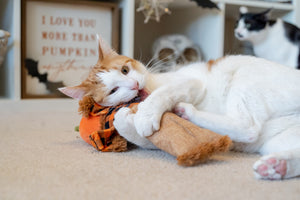 P.L.A.Y. Feline Frenzy Halloween Kicker Toy - Scaredy Crow in cats paws being nibbled on