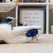 Load image into Gallery viewer, P.L.A.Y. Feline Frenzy Halloween Creepy Critters Toy Set - spider toy in between cat's paws during playtime