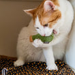 Load image into Gallery viewer, P.L.A.Y. Feline Frenzy Killer Cat Deadly Duo Toy Set - posion bottle toy in cat's mouth in cubby