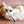 Load image into Gallery viewer, P.L.A.Y. Feline Frenzy Halloween Menacing Mice Toy Set - tan mouse in paws of ginger kitty laying on side on the couch
