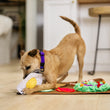Load image into Gallery viewer, P.L.A.Y. Savory Sunrise Snuffle Mat - dog trying to rip off the egg from the mat