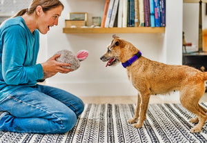 P.L.A.Y.'s Forest Friends Collection - Baxter the Bunny Toy in dog mom's hands presenting to pup with smile on her face and dog's tongue out ready to play