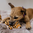 Load image into Gallery viewer, P.L.A.Y. Big Five of Africa Collection - Leopard Toy in dog's mouth laying on a fluffy dog bed