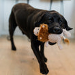 Load image into Gallery viewer, P.L.A.Y. Big Five of Africa Collection - Lion Toy in mouth of black lab coming toward  camera to play
