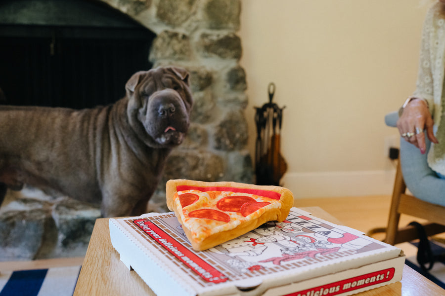 P.L.A.Y. Snack Attack Collection - Puppy-roni Pizza Toy on top of the pizza box on the coffee table with dog staring at it