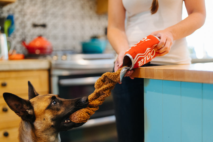 P.L.A.Y. Snack Attack Collection - Good Boy Cola Toy dog pulling on the spilled out soda interactive piece while dog mom holds onto can in kitchen