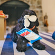 Load image into Gallery viewer, P.L.A.Y. Snack Attack Collection - Fluffles Toy black dog holding potato chips in it's mouth playing on the living room rug