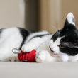 Load image into Gallery viewer, P.L.A.Y. Feline Frenzy Twice As Mice Toy Set - black and white cat laying down nibbling on the crunchy tail of the red mouse toy