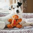 Load image into Gallery viewer, Holiday Classic Collection by P.L.A.Y. - Holly Jolly Gingerbread Man Toy leaning up against white dog laying in a Moroccan Lounge Bed