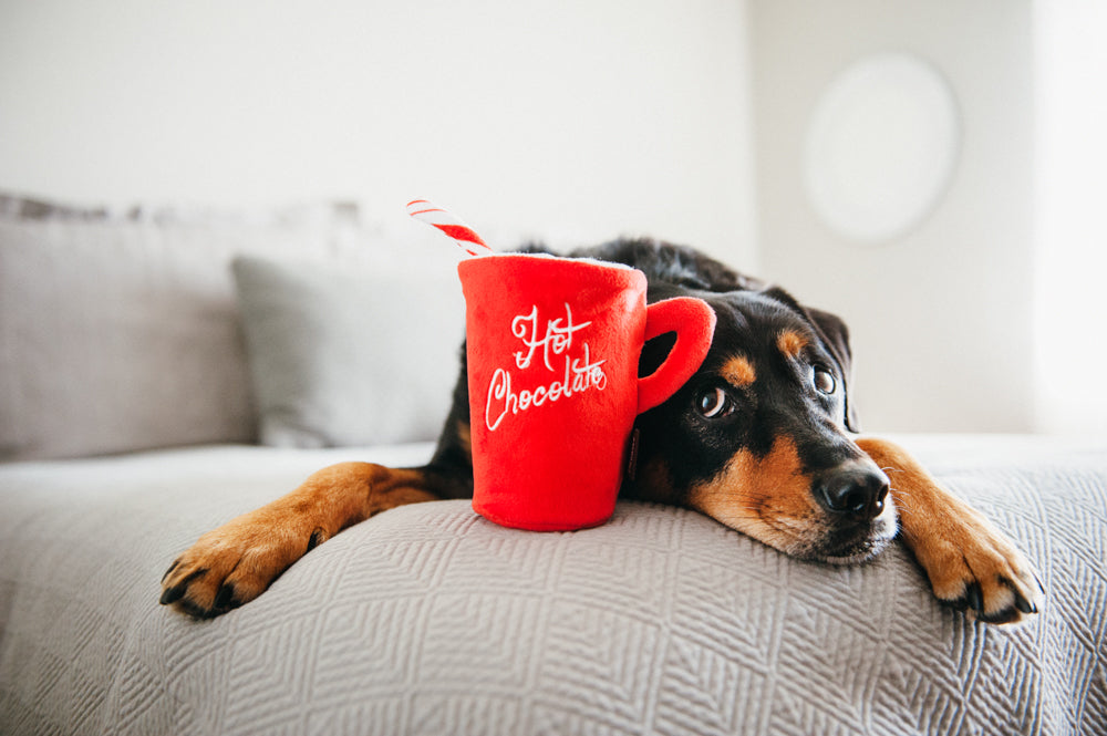 Hot cocoa dog sales toy