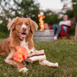 Load image into Gallery viewer, Camp Corbin Collection by P.L.A.Y. Gimme S'more Toy - brown dog with toy on paws along with campfire toy at a campsite