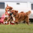 Load image into Gallery viewer, Camp Corbin Collection Pack Leader Lantern Toy by P.L.A.Y. being held by two dogs running through a campsite