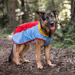 Load image into Gallery viewer, P.L.A.Y. Trailblazing Coats - Big brown fluffy dog wearing sunset color in the woods on a hike