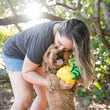 Load image into Gallery viewer, P.L.A.Y. Tropical Paradise Collection - Paws Up Pineapple Toy in dog's front paws being held up and kissed by dog mom in a tropical beach forest