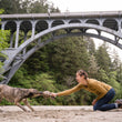 Load image into Gallery viewer, P.L.A.Y. Forest Friends Collection - Hamilton the Hedgehog Toy playing tug with dog mom under a bridge on the beach