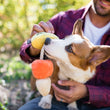 Load image into Gallery viewer, P.L.A.Y. Howling Haunts Collection - Canine Corn Toy next to Corgi sniffing it being held by dog dad