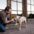 Load image into Gallery viewer, P.L.A.Y. Howling Haunts Collection - Gloulish Grave Toy dog parent and dog playing with toy outside on a wooden deck