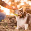 Load image into Gallery viewer, P.L.A.Y. Howling Haunts Collection - Gloulish Grave Toy fluffy dog biting toy with dog mom in field