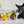 Load image into Gallery viewer, P.L.A.Y. Barktender Collection - Beautiful black dog with paws on counter starring at the five cocktail-themed toys
