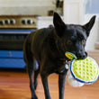 Load image into Gallery viewer, P.L.A.Y. Barktender Collection - Pup-artia Toy hanging out of beautiful black dog's mouth walking out of kitchen