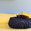 Load image into Gallery viewer, Cat curled up in P.L.A.Y. Feline Frenzy Donut Cuddler Bed - Kalahari Black on bed with yellow pillows and a blue wall in the background