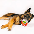 Load image into Gallery viewer, P.L.A.Y. Alien Buddies Astro Explorer Toy - big black and brown dog laying on its side with toy in mouth while looking into the camera
