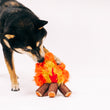 Load image into Gallery viewer, P.L.A.Y. Camp Corbin Cozy Campfire Toy - small dog pictured behind the toy with paw and nose in the fire fabric