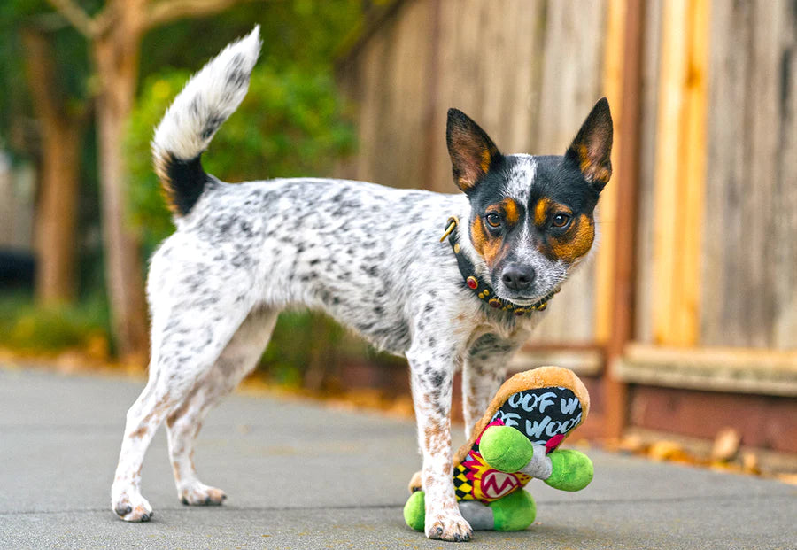 P.L.A.Y. 90s Classics Collection - Kick Flippin' K9 Toy under the paw of small white spotted dog looking like it's being kickflipped on the sidewalk