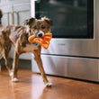 Load image into Gallery viewer, P.L.A.Y. Snack Attack Collection - Puppy-roni Pizza Toy in small brown dog's mouth walking through kitchen