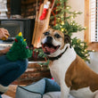 Load image into Gallery viewer, P.L.A.Y. Merry Woofmas Doglas Fur - smiling dog being offered Christmas Tree toy from dog mom