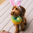 Load image into Gallery viewer, P.L.A.Y. Hippity Hoppity Collection - Eggs-cellent Basket Toy being held by rope handing in dog's mouth wearing bunny ears