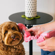 Load image into Gallery viewer, P.L.A.Y. 80s Classic Paw Talk Toy - phone being held up to a dog's ear