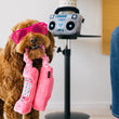 Load image into Gallery viewer, P.L.A.Y. 80s Classic Paw Talk Toy - cord in dog's mouth with phone dangling