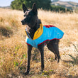 Load image into Gallery viewer, P.L.A.Y. Trailblazing Coats - beautiful black dog in field in fall wearing Sunset colorway looking off into the distance