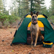 Load image into Gallery viewer, Scout & About Landscape Series Outdoor Dog Tent by P.L.A.Y. - dog sitting upright in Moss tent with matching Travel Bowl in the middle of the woods of Tahoe, CA