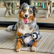 Load image into Gallery viewer, P.L.A.Y. Forest Friends Collection - Robby the Raccoon Toy in between the paws of a multi-colored long haired pup smiling at the camera